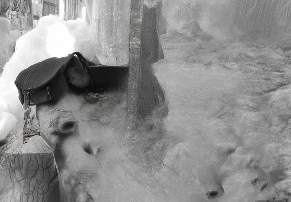 广州淘宝队VS鹿岛鹿角队：亚冠巅峰对决精彩回顾